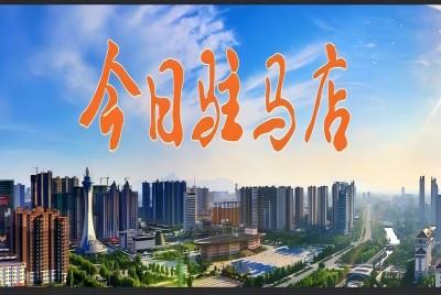 西平老王坡：高標(biāo)準(zhǔn)農(nóng)田機(jī)收忙  |《今日駐馬店》資訊第131期